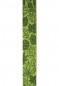 Preview: Geschenkband "Blätter grün" 25mm, 18m